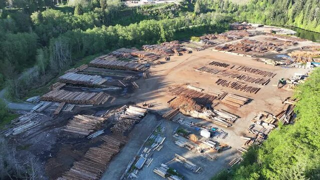 Aerial view of lumber yard and tree-felling machinery