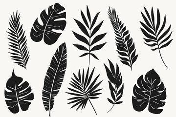 Set of tropical leaves silhouettes. Exotic jungle palm leaf silhouettes isolated on white background