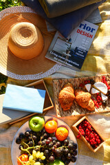 Set for romantic picnic with tasty food on green grass background