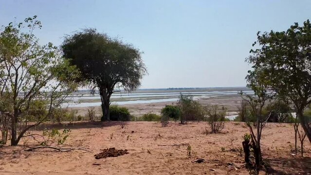 Chobe River At Chobe National Park In Kasane Botswana. African Animals Landscape. Wildlife Scenery. Chobe National Park At Kasane Botswana. Big Five Animals. Wild Background.