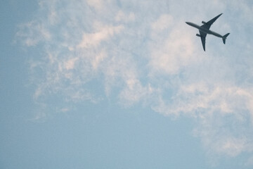 青空を駆ける翼