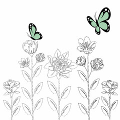 flowering plants with butterflies