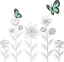 flowering plants with butterflies