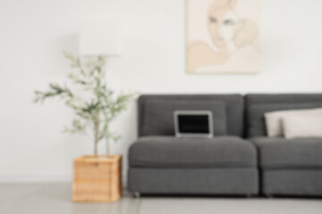 Stylish living room with black sofa, houseplant and pillow, blurred view