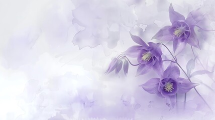 A graceful watercolor background with purple columbine flowers and gentle curves
