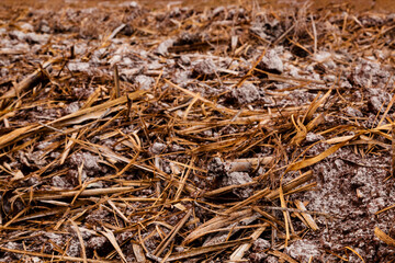 trator, maquinaria, máquina,  equipamento, roda, veículo, buldózer, vintage, vermelho, carro, encantar, campo, agrícola, transporte, trabalho, estrada secundária, indústria, motor, adubo, jogandoadubo