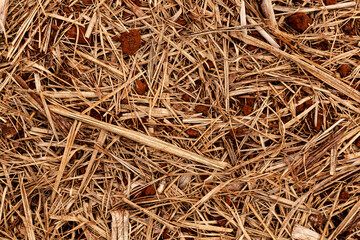 trator, maquinaria, máquina,  equipamento, roda, veículo, buldózer, vintage, vermelho, carro, encantar, campo, agrícola, transporte, trabalho, estrada secundária, indústria, motor, adubo, jogandoadubo