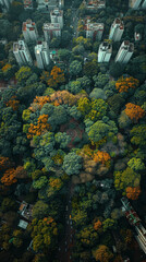 Fototapeta premium drone shot, top view bangalore, cinematic created with Generative AI technology