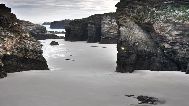 Fallow deer in natural environment. Female and male. Deer Dama dama. Vision Park in Auberive region, France. Slow motion