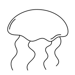 Jellyfish outline icon vector 