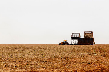 campo, fazenda, trator, fusão, colher, trigo, colheita, colheita, colheita, rural, máquina, fazenda, verão, calo, céu, grão, agrícola, paisagem, natureza, maquinaria, terra, alimento, trailer, campo