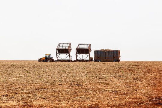 campo, fazenda, trator, fus&atilde;o, colher, trigo, colheita, colheita, colheita, rural, m&aacute;quina, fazenda, ver&atilde;o, calo, c&eacute;u, gr&atilde;o, agr&iacute;cola, paisagem, natureza, maquinaria, terra, alimento, trailer, campo