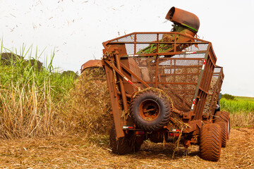 campo, fazenda, trator, fusão, colher, trigo, colheita, colheita, colheita, rural, máquina,...