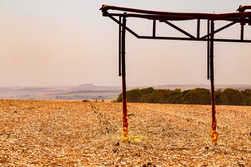 campo, fazenda, trator, fusão, colher, trigo, colheita, colheita, colheita, rural, máquina,...