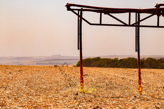 campo, fazenda, trator, fus&atilde;o, colher, trigo, colheita, colheita, colheita, rural, m&aacute;quina, fazenda, ver&atilde;o, calo, c&eacute;u, gr&atilde;o, agr&iacute;cola, paisagem, natureza, maquinaria, terra, alimento, trailer, campo