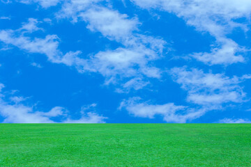 Fototapeta premium 緑の高原