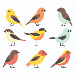 Nine colorful birds illustrated minimalist style, bird has unique combination vibrant colors such yellow, orange, brown, teal. Illustration suitable birdthemed designs educational material about