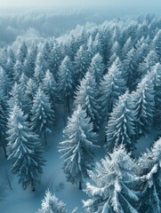 Fototapeta premium This image offers a bird's-eye view of a wintry forest created with Generative AI technology