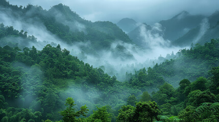 Obraz premium Tropical Rainforest in Xishuangbanna created with Generative AI technology