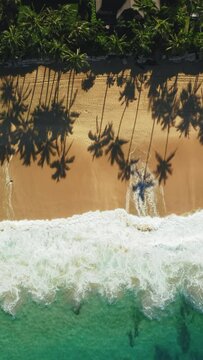 Vertical Screen: Stunning aerial vertical video of a tropical beach in Hawaii, showcasing palm tree shadows, golden sand, and crashing waves. Perfect for beach, travel, and nature visuals.
