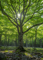 uma floresta de arvores frondosas created with Generative AI technology