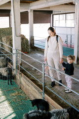 Smiling mother and little girl stand holding hands near the fence of the pen and look at the lambs...