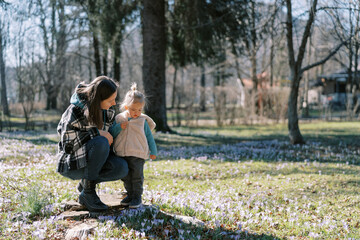 Little girl stands on a stump near her squatting mother and looks at blooming blue crocuses