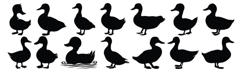 Duck silhouette set vector design big pack of illustration and icon