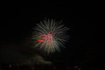 夜空に浮かび上がる夏の花火