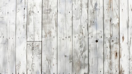 Fototapeta premium Texture of White Wood