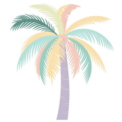 palm tree illustration