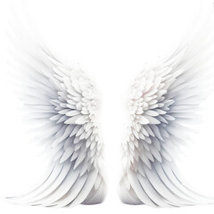 Fototapeta premium Divine White Angel Wing Isolated Image