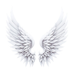 Obraz premium White Angel Wing Isolated on Transparent Background