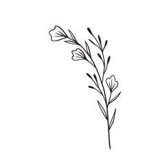 Greenery & flowers