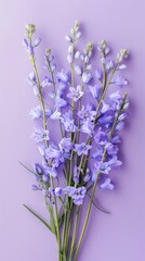 Obraz premium bouquet of bluebell flowers arranged on a light purple background
