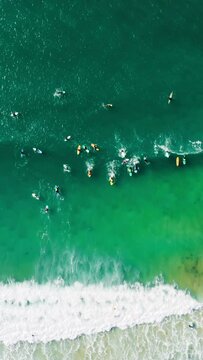 Vertical Screen: Surfers are seen near the shoreline, waiting for waves. People of different skill levels enjoy the sunny view and calm waters, representing the spirit of surf sport and leisure