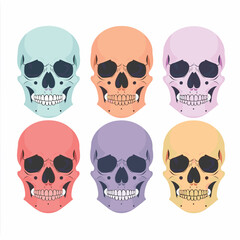 Six colorful skulls arranged two rows, varying pastel hues. Skull illustrations depicting human head bones empty eye sockets toothy smiles. Cartoonish skulls tones blue, orange, purple, red, gray
