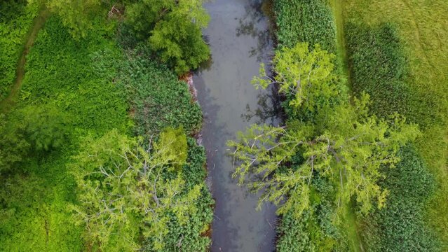 A drone flight over a creek in the forest.