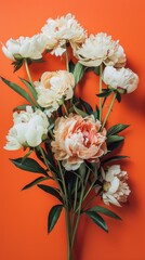 Fototapeta premium A close-up image of a bouquet of cream and peach peonies arranged on a vibrant orange background