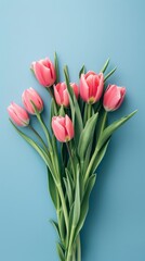 Fototapeta premium A bouquet of pink tulips against a light blue background