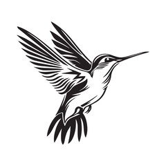 Black And White Hummingbird Vector Illustration