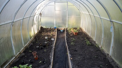 A greenhouse with plants and a path