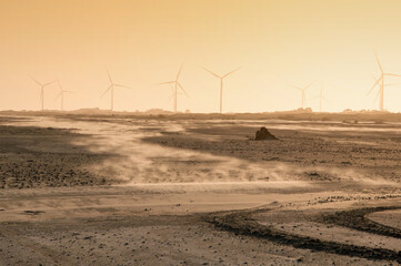 wind turbines farm