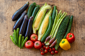 色とりどりの野菜　野菜集合