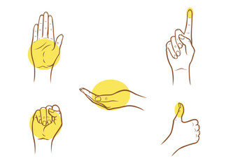 Hand Portion Size Guide