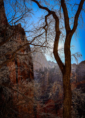 Zion National Park