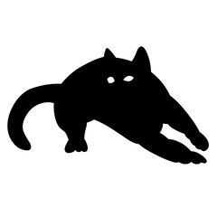 people put deodorant on their armpits