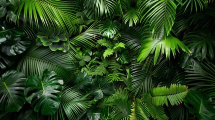 An expansive canopy of tropical leaves, creating a dense green texture as a nature background