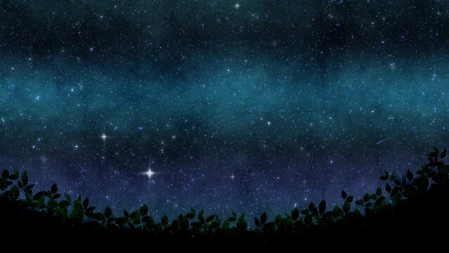 Shooting star. Sparkling starry sky background.Loop video. (103)