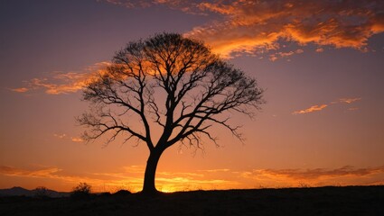 Fototapeta premium Silhouette of a tree against a fiery sunset sky